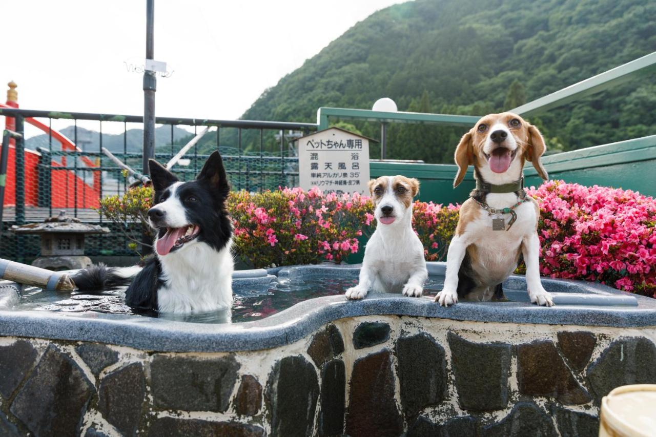 Kinugawa Kokusai Hotel 닛코 시 외부 사진